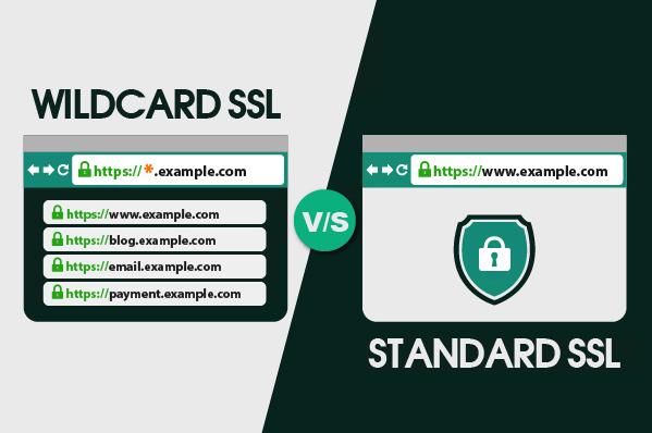 SSL֤