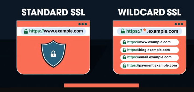 SSL֤